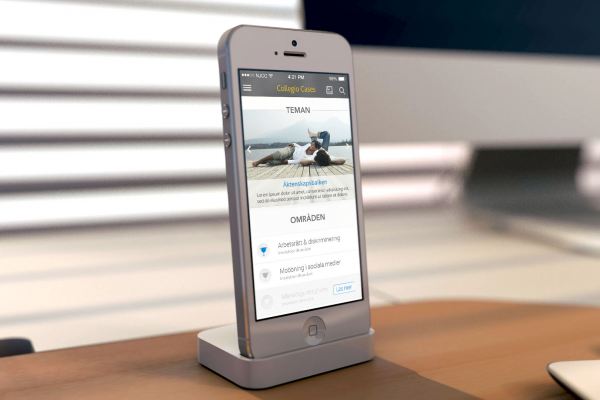 Norstedts Juridik – Collegio Cases